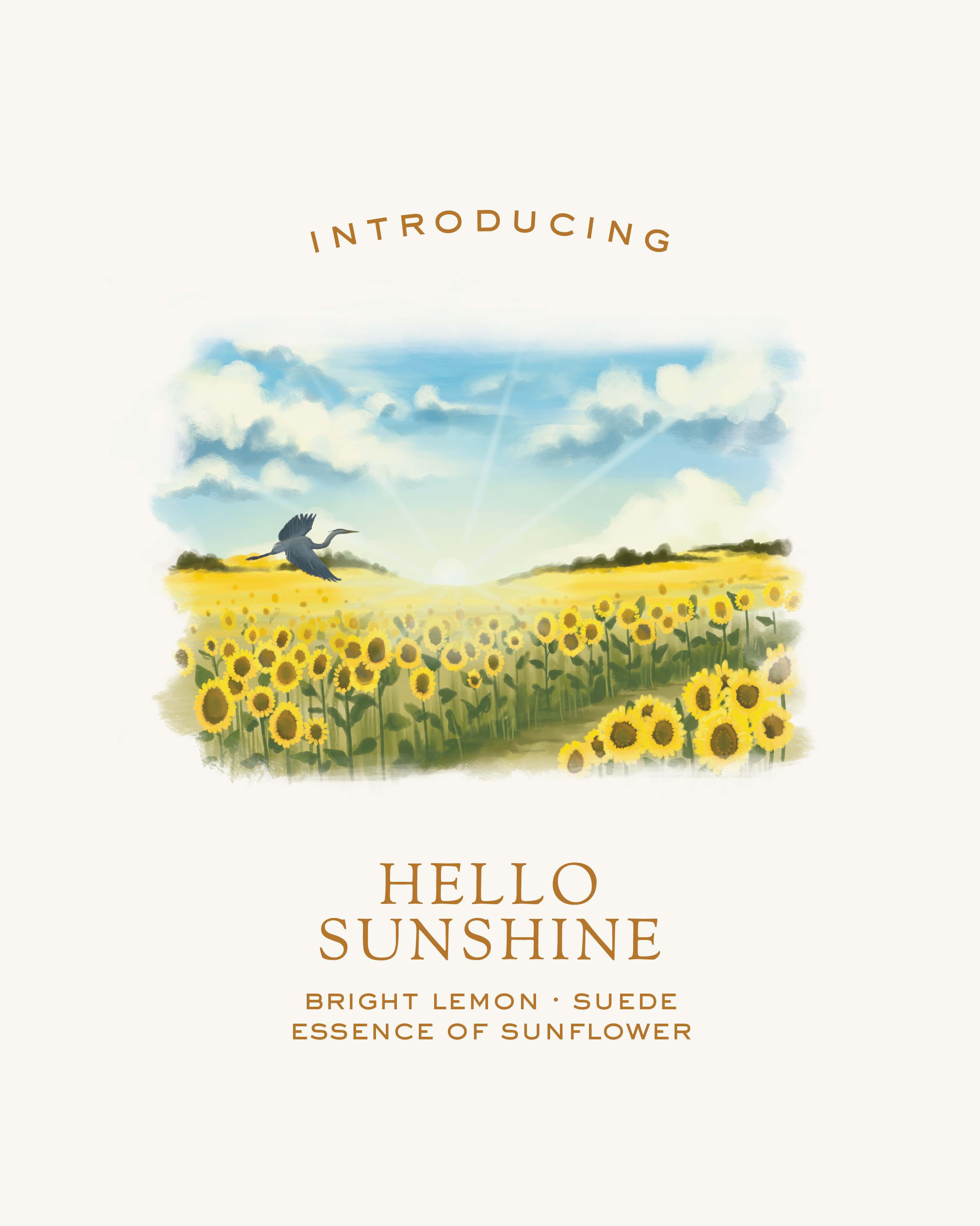 Hello Sunshine