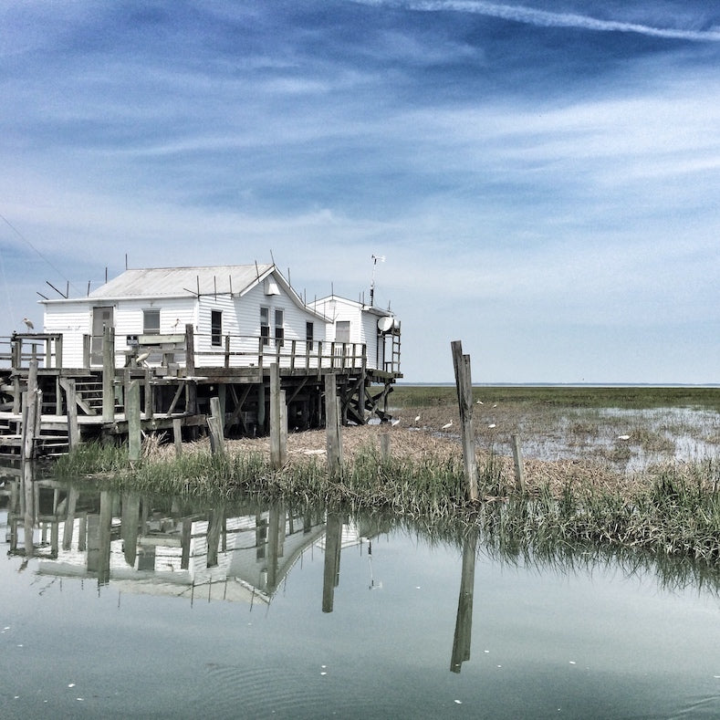 Rosie the Eagle: A boat trip turns into a rescue mission on the barrier islands