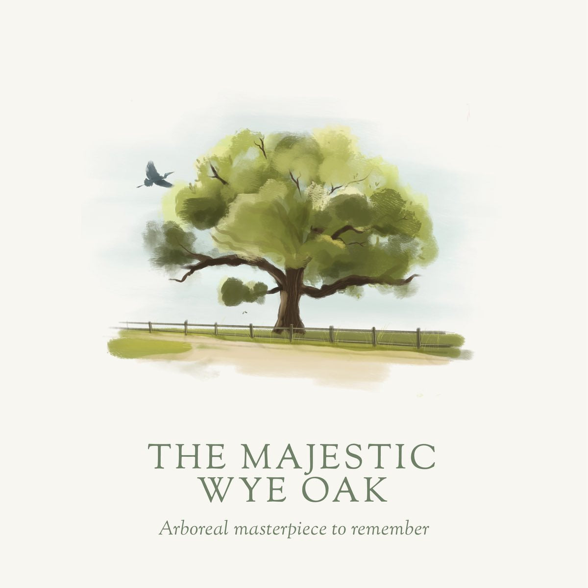 Winter &amp; Holiday Tin Discovery Set