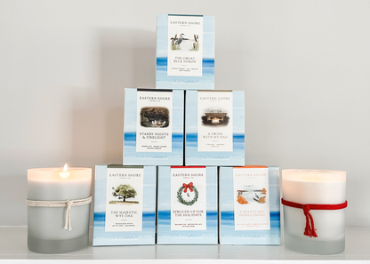 Winter &amp; Holiday Tin Discovery Set